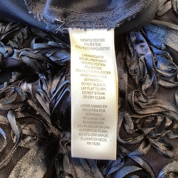 Alex Evenings Embellished Fit and Flare Soutache on Tulle Dress - Blue - 14W - Picture 10 of 10